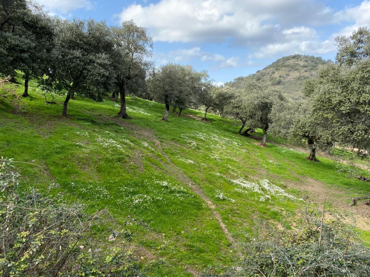 El Rincon De Aracena Villa Buitenkant foto